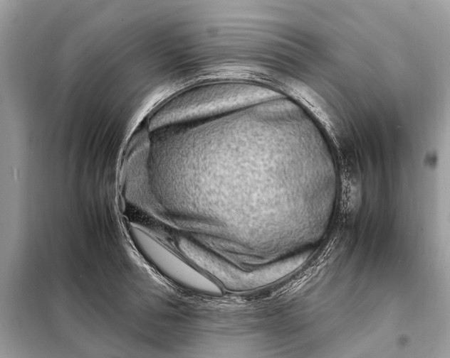 X0000098220994200805081154