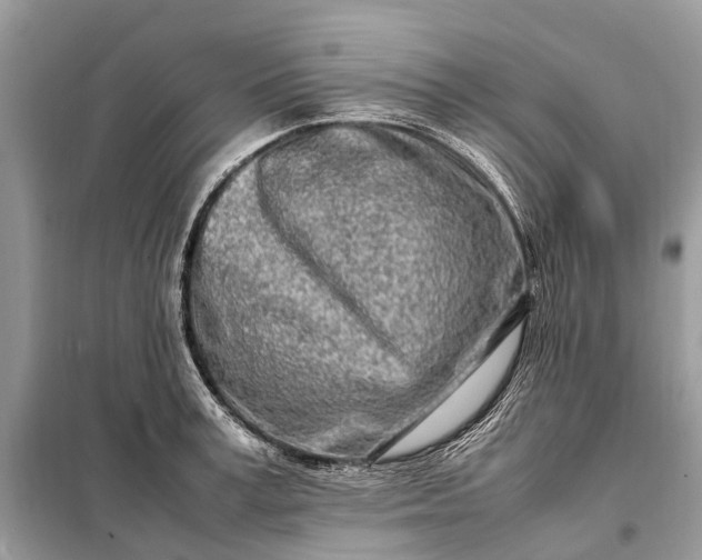 X0000098220995200805081154