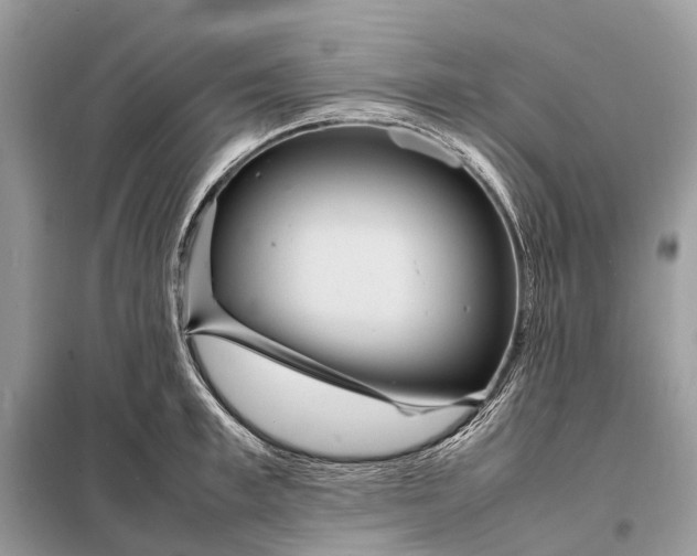 X0000098220997200805081154