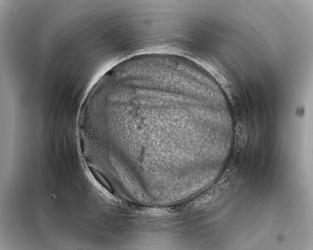 X0000098220998200805081154