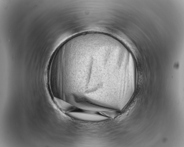 X0000098220999200805081154