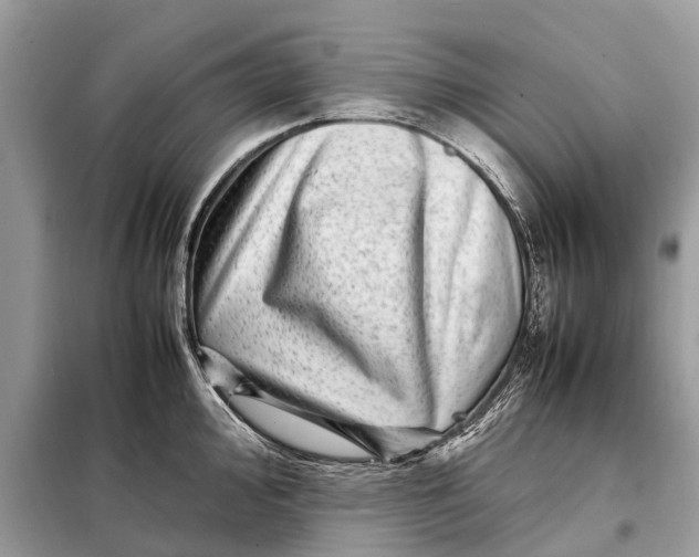 X0000098221000200805081154