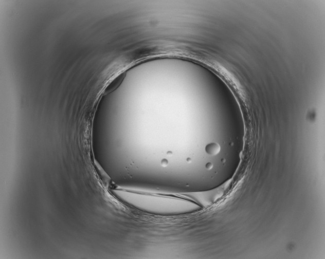 X0000098221001200805081154