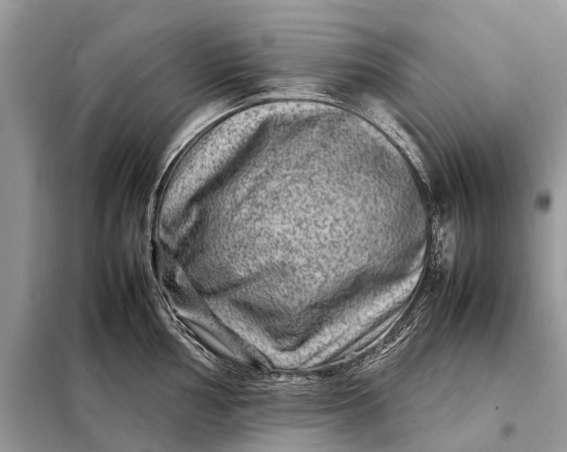 X0000098221002200805081154