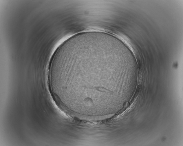 X0000098221003200805081154