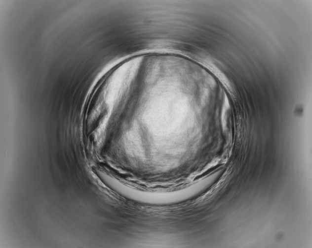 X0000098221004200805081154