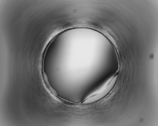 X0000098221005200805081154