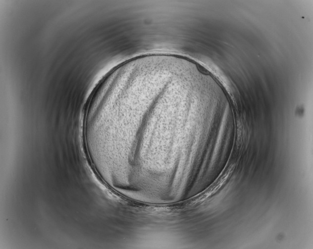 X0000098221006200805081154