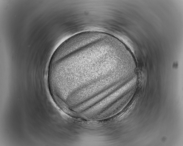 X0000098221007200805081154