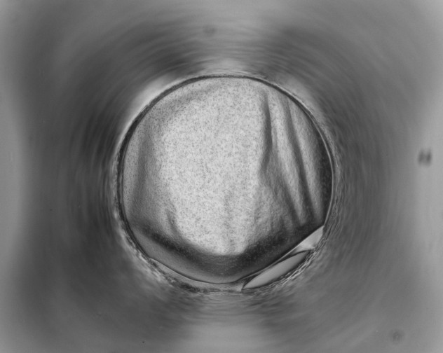 X0000098221008200805081154