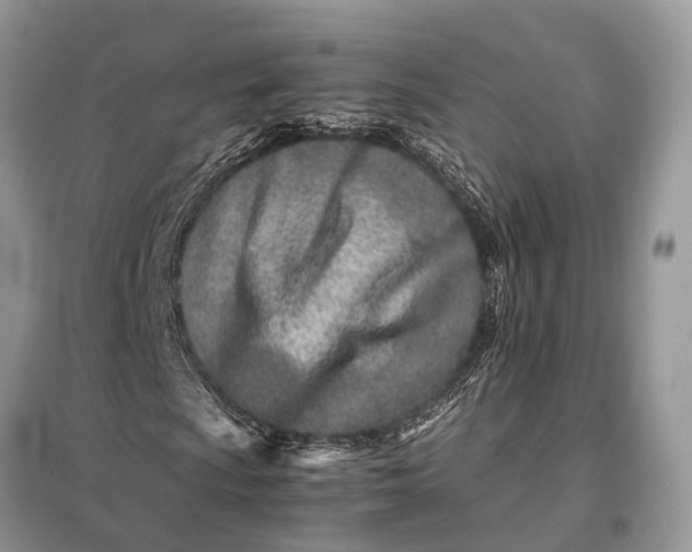 X0000098221009200805081153