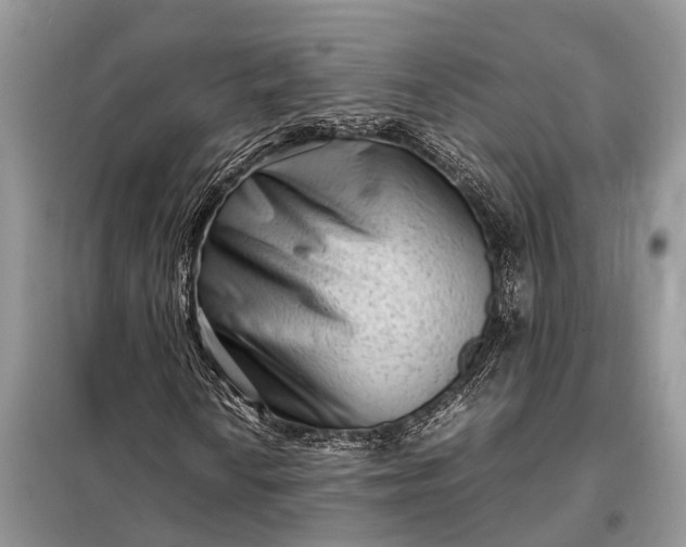 X0000098221010200805081153