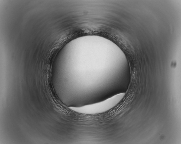 X0000098221012200805081153