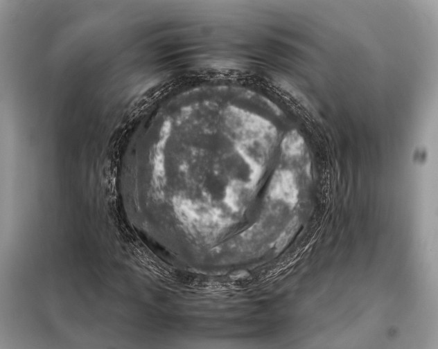 X0000098221013200805081153