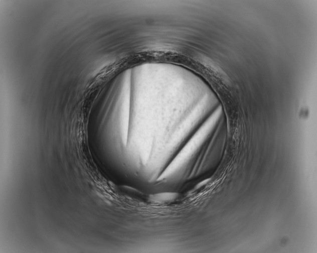 X0000098221014200805081153