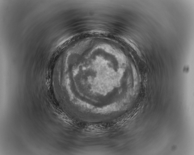 X0000098221015200805081153