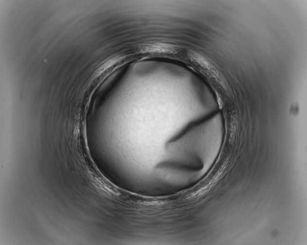 X0000098221017200805081153