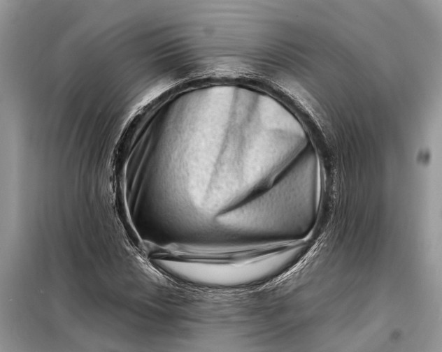 X0000098221018200805081153