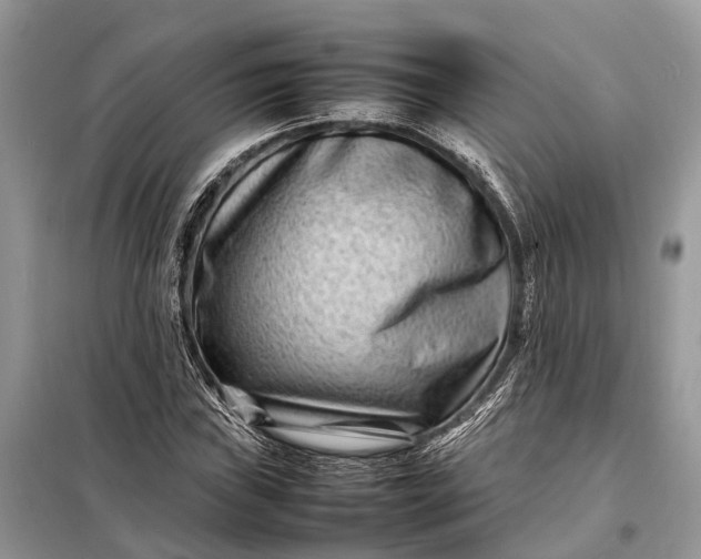 X0000098221019200805081153