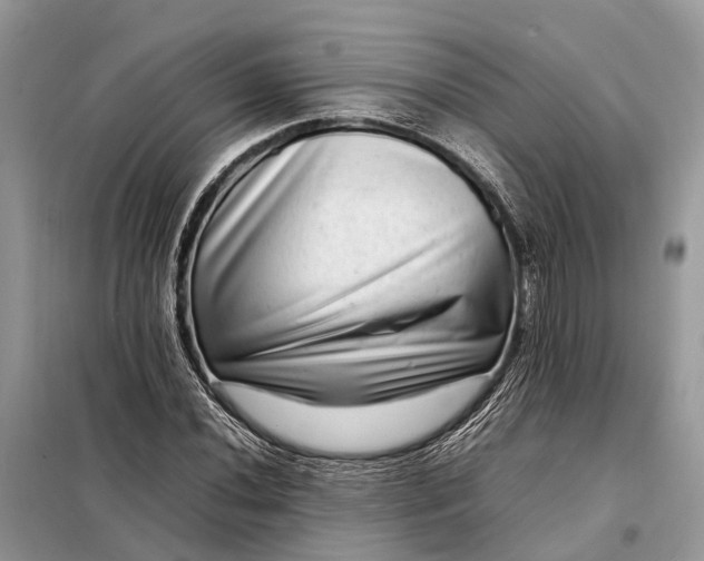 X0000098221020200805081153