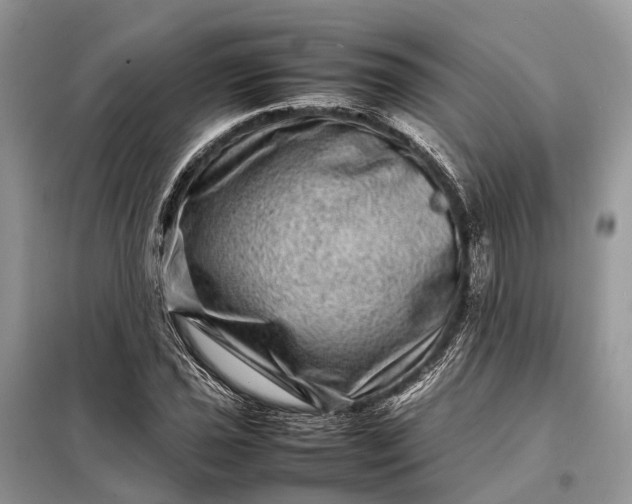 X0000098221021200805081153