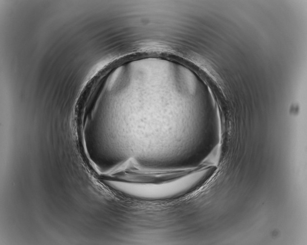 X0000098221022200805081153