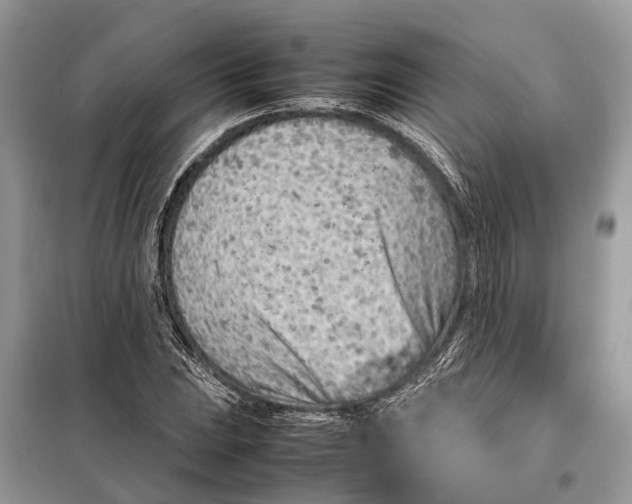 X0000098221023200805081153