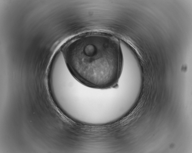 X0000098221024200805081153