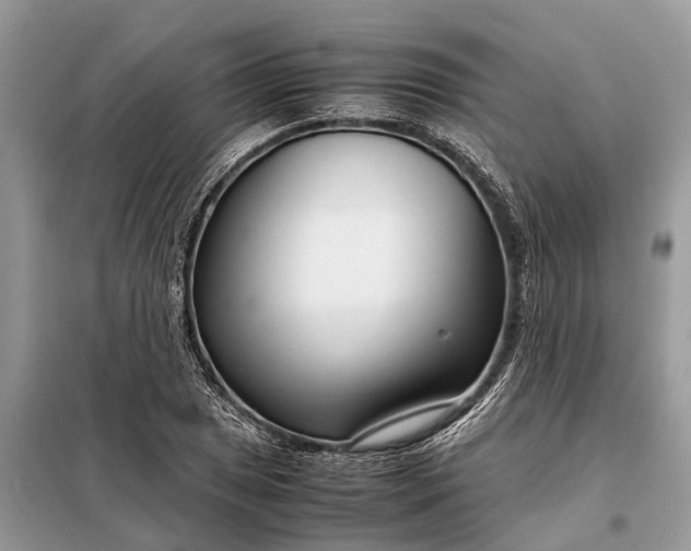 X0000098221025200805081153