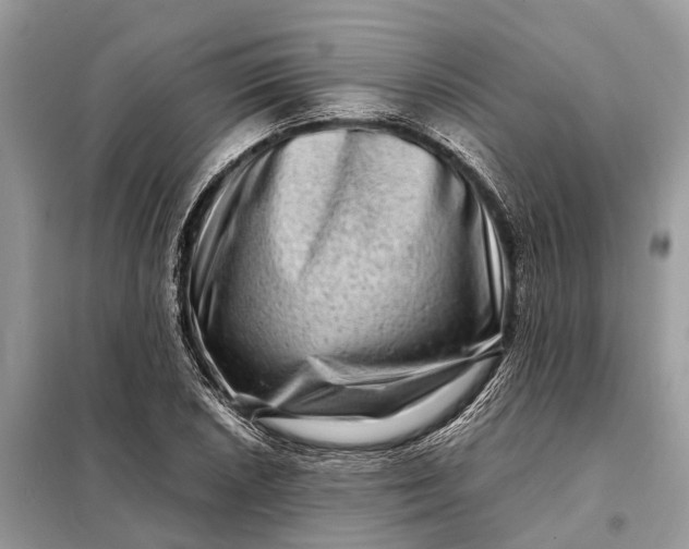 X0000098221026200805081153