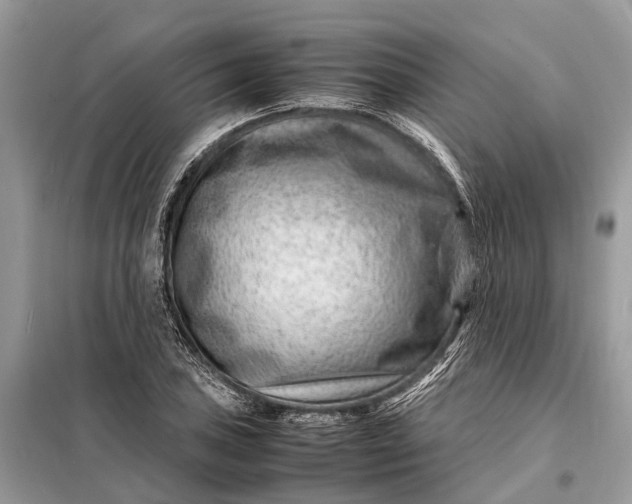 X0000098221027200805081153