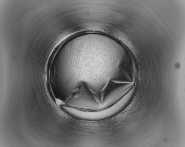 X0000098221028200805081153