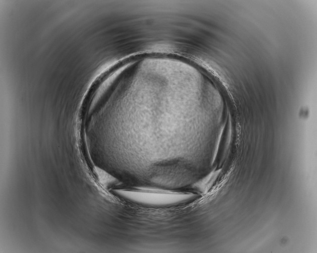 X0000098221029200805081153