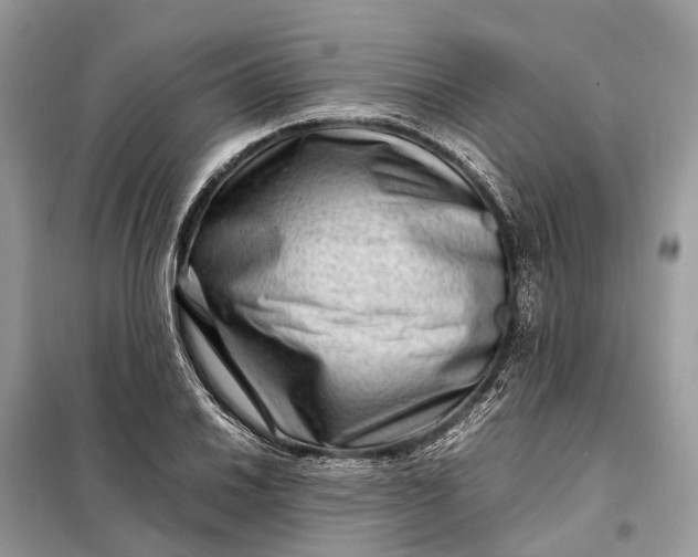 X0000098221030200805081153