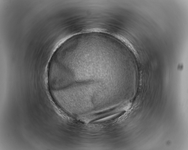 X0000098221031200805081153