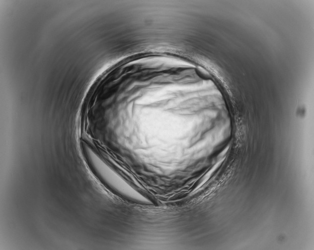 X0000098221032200805081153