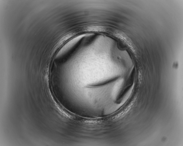 X0000098221033200805081153