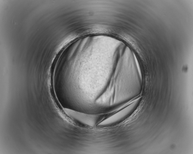 X0000098221034200805081153