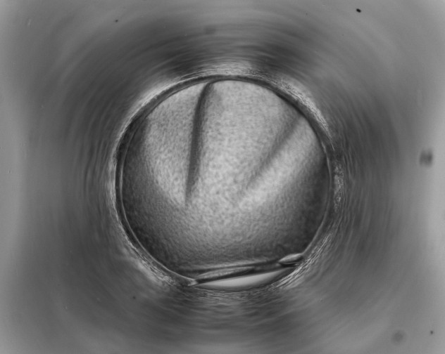 X0000098221035200805081153