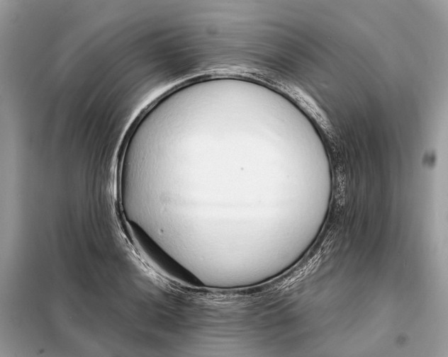 X0000098221036200805081153