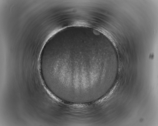 X0000098221037200805081153