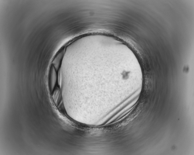 X0000098221038200805081153