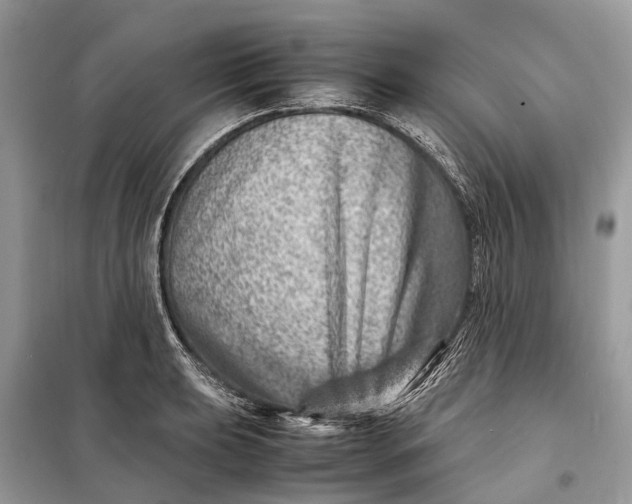 X0000098221039200805081153