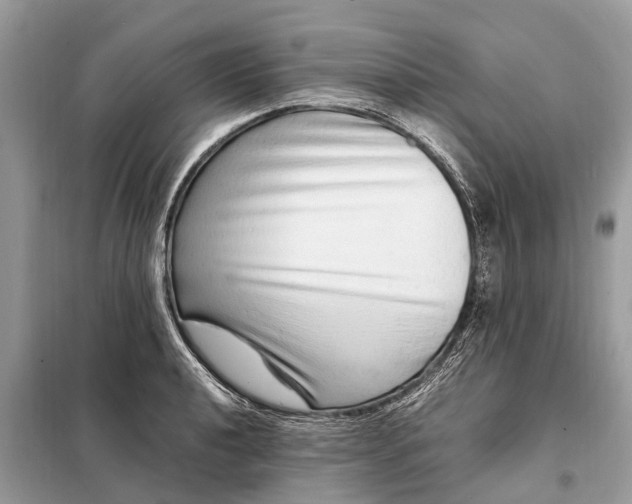 X0000098221040200805081153