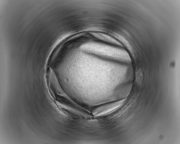 X0000098221043200805081153