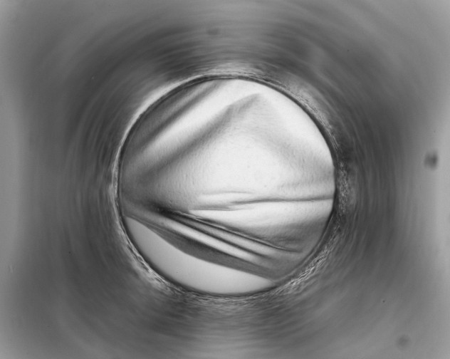 X0000098221044200805081153