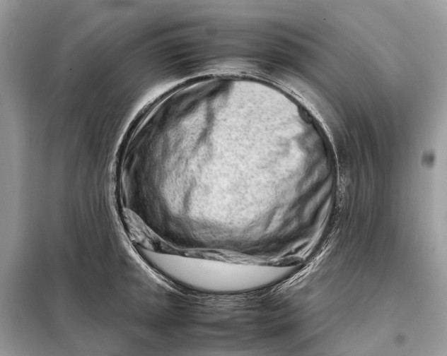 X0000098221045200805081153