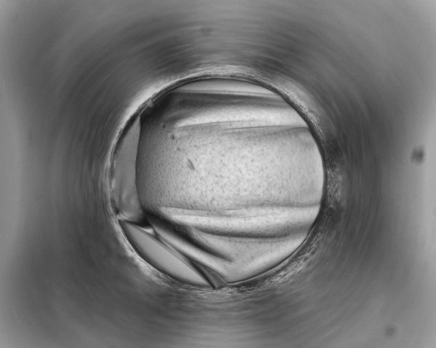 X0000098221046200805081153