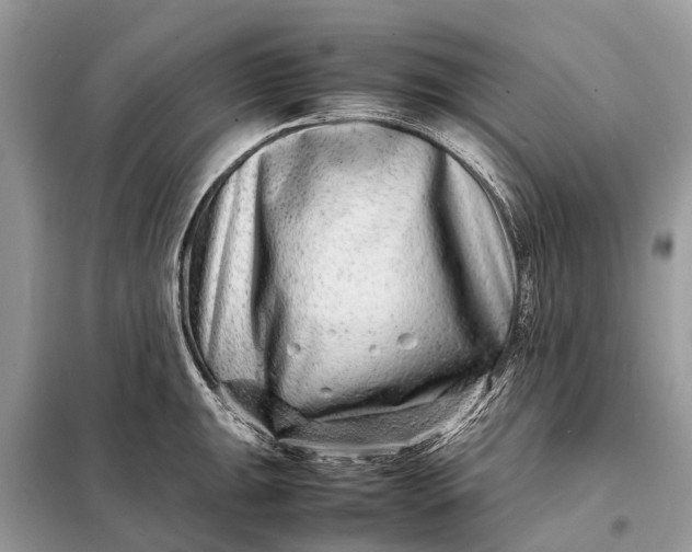 X0000098221047200805081153