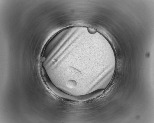 X0000098221048200805081153